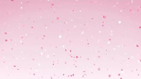 Sakura Cherry Blossoms Falling Stock Motion Graphics