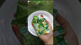    Plus Chocolate  Jelly   food ytshaorts chocolate sweetmix short viral