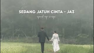 Sedang Jatuh Cinta - Jaz | Speed Up