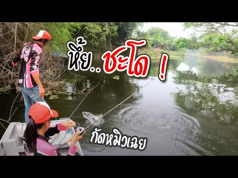 เปิดหมายใหม่ ไม่คิดว่า หนูจะได้ | เด็กตกปลา