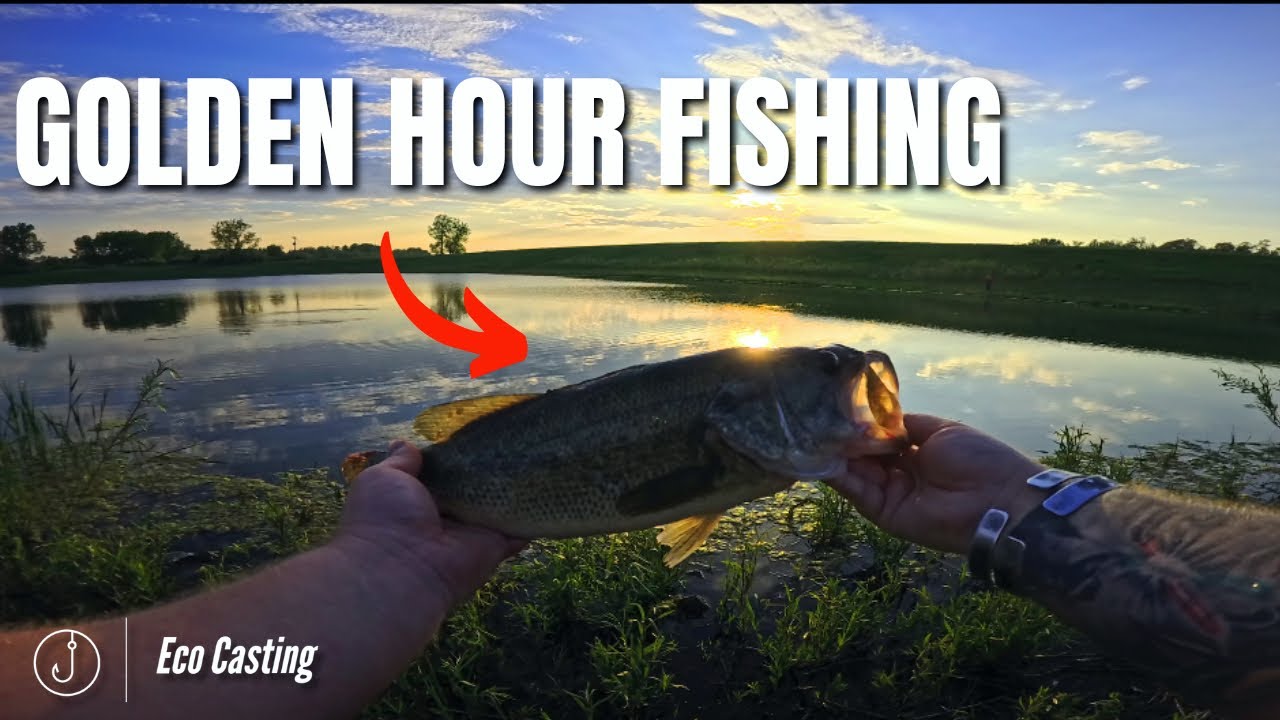 Golden Hour BASS FISHING | We Found Something VERY Disturbing | Eco Casting