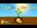 🟢 Tipi in the Sun 🌱  Learn to Count With Tipi | Calm Nature Song for Kids
