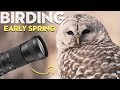 Early Spring BIRDING - AMAZING DAY! Sony a7iii +150-600mm