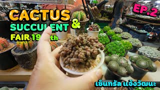 CACTUS & SUCCULENT FAIR 19th เซ็นทรัลแจ้งวัฒนะ EP.2 | 01/06/2567