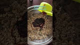 Fazendo granola caseira pela primeira vez, sons muito satisfatórios #asmr #granola #cooking