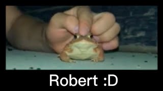 ROBERT :D