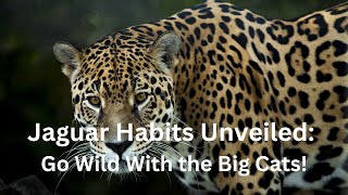 Jaguar Habits Unveiled: Go Wild With the Big Cats!