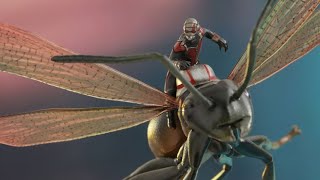 سجين يتحول الى نملة ويستطيع الهروب من السجن بمساعدة النمل  | ant man