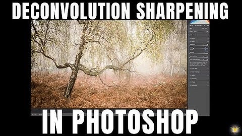How To Use Deconvolution Sharpening In Adobe Lightroom