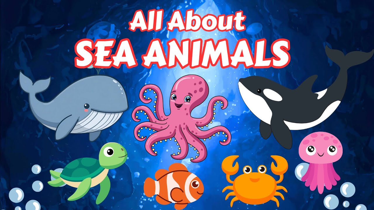 All About Sea Life for Kids! 🐙 Learn Facts About Sharks, Whales & More ...