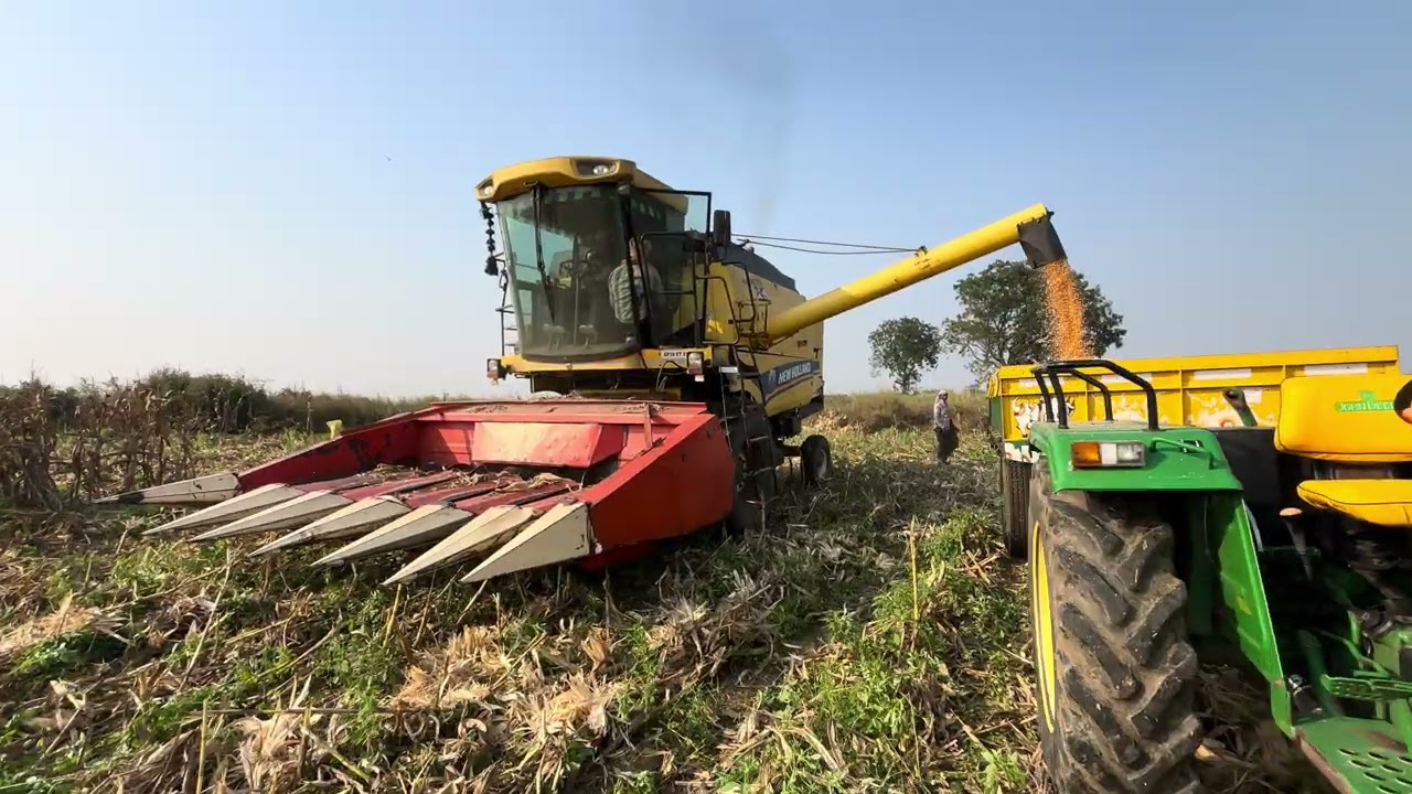 New holland Tcs 30 unloading maize from Tank 