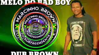 MELÔ DO BAD BOY - DUB BROWN - MSC LIMPA