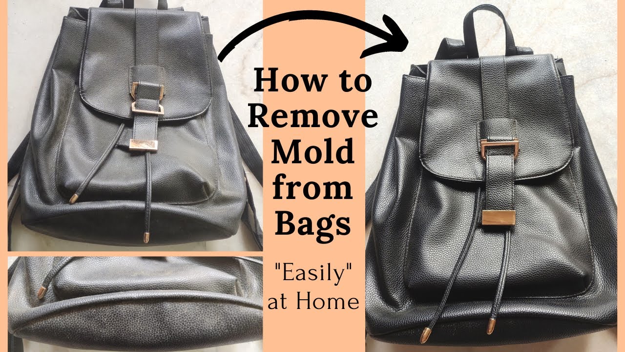 How To REMOVE MOLD From LEATHER BAG At Home EASILY YouTube How To REMOVE MOLD From LEATHER BAG At Home EASILY YouTube
