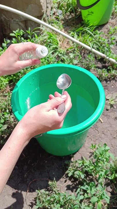 Средство от гусениц и крестоцветной блошки #деревня #дача #garden - YouTube