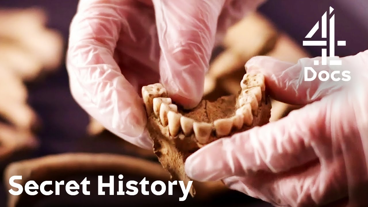 Film backdrop image for Black Deaths Victim's Teeth Analysis Reveals Shocking Results (2018)