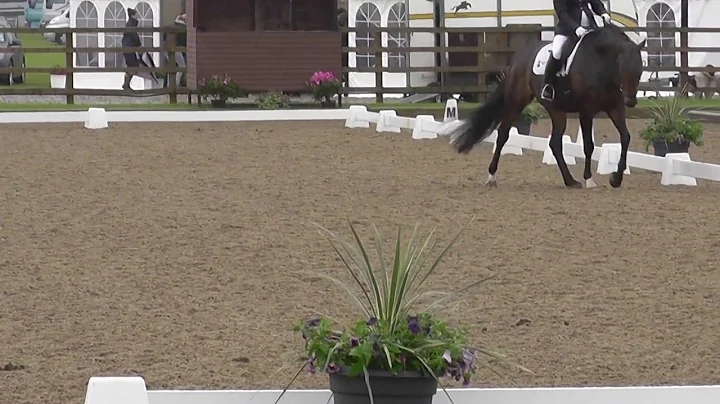 The Contact People Destiny D at Somerford Premier ...
