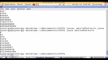 Chapter 7 While loop patterns    practical session Java Program
