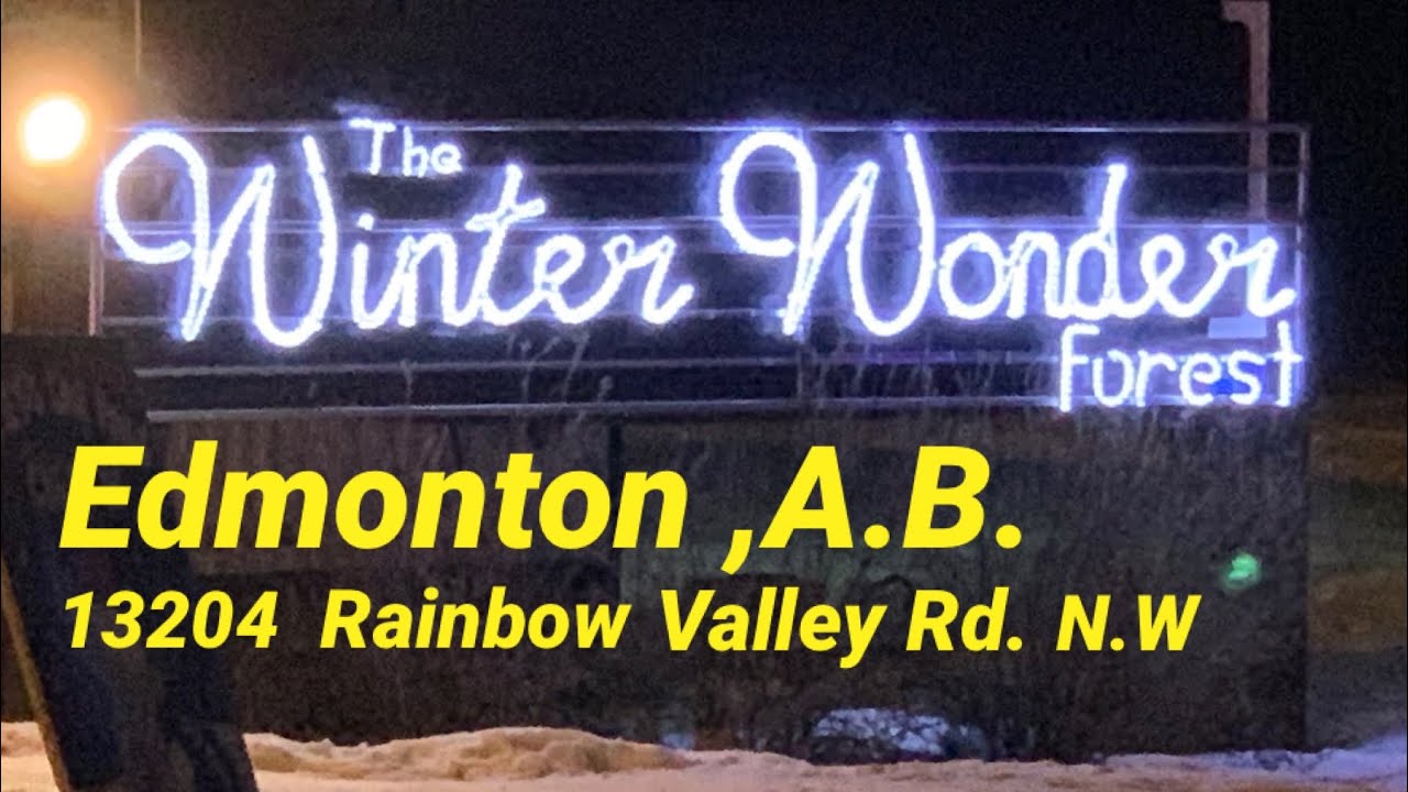 WINTER WONDER FOREST I ENCHANTED HOLIDAY EXPERIENCE I TRUE START FOUNDATION