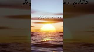 Mesut Yabanigül - Tut Ki Tufan Olur