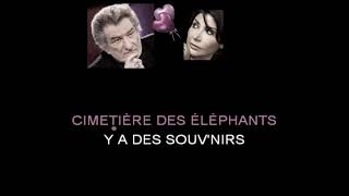 Karaoké Le cimetière des éléphants Liane Foly reprise Eddy Mitchell