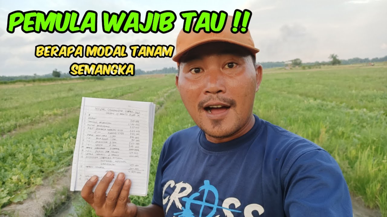 Berapa Sih Modal Tanam Semangka?? Berikut Rincian Dari Awal Sampai Panen. #Nardyshu #semangka