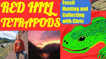 Fossils - RED HILL TETRAPOD FOSSIL SITE - Fossil Hunting and Fossil Collecting with Chris