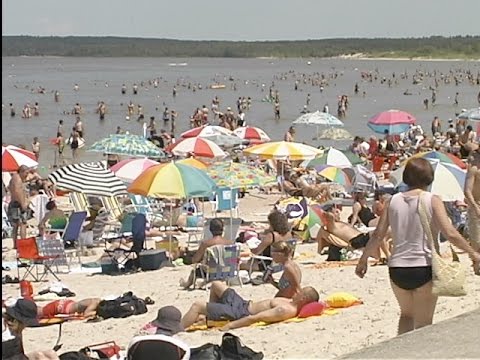 Video: Prestanda För Ett Konstruerat Våtmark I Grand Marais, Manitoba, Kanada: Avlägsnande Av Näringsämnen, Läkemedel Och Antibiotikaresistensgener Från Kommunalt Avloppsvatten