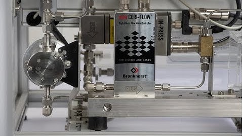 #Bronkhorst   Mini Coriolis Working Priniciple With Gearpump#케이웍스 #김사장 #Coriolis MFC