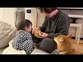 薬を嫌がる1歳娘に、柴犬と酔っ払い野郎がお手本を見せた結果…