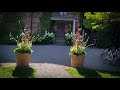Vlog 275 - Контейнерные посадки в саду