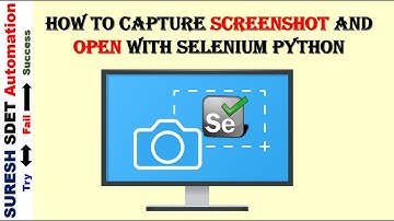 How to take Screenshot and Open | Selenium Python