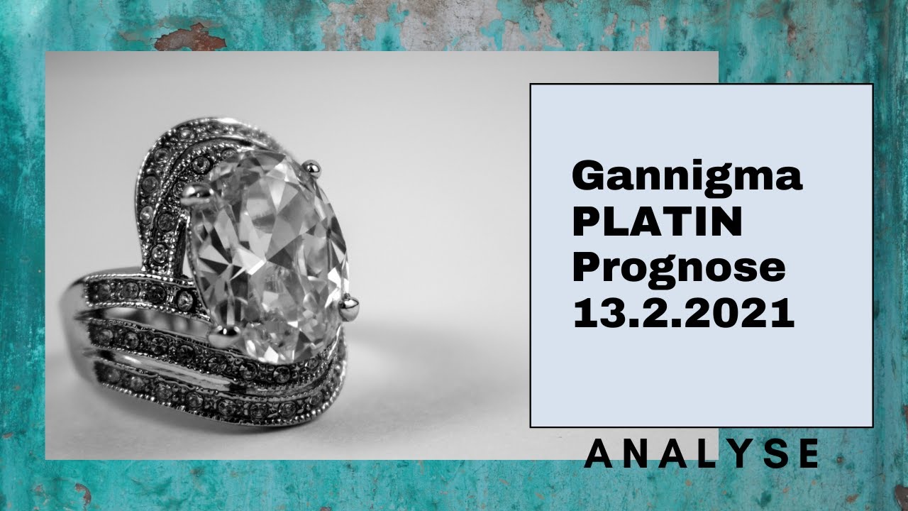 Gannigma - Game Stop Analyse und Prognose vom 23.2.2021