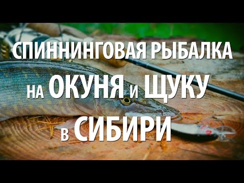 ловля ельца весной в сибири