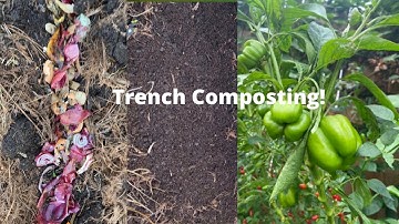 Trench Composting||Very Simple Composting Method #GardenWorld🌿🌏
