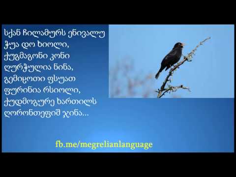ზესქვი - ლაშა გვასალია