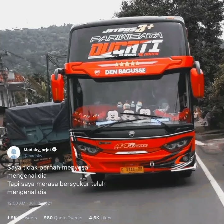 STORY WA BUS || WIDODARI - DENNY CAKNAN FT GUYON WATON || #shorts