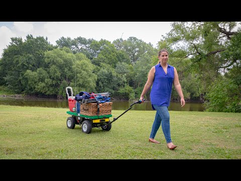 Buffalo Carts: Electric Powered Convenience