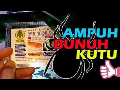 Video: Takhiben - Arahan Penggunaan, Harga Ampul, Analog Ubat, Ulasan