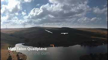 Mini Talon Quadplane - Formation at the Dam