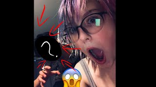 WE ORDERED A BEST FRIEND OFF THE DARK WEB!!!! (SCARY 3AM CHALLENGE!!) @SpoicySpooks