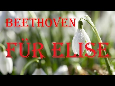 (+) Beethoven - Bagatelle In A Minor WoO.59 Fur Elise