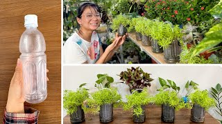 видео: Креативное садоводство: превратите пластиковые бутылки в милые кашпо картинка: Креативное садоводство: превратите пластиковые бутылки в милые кашпо