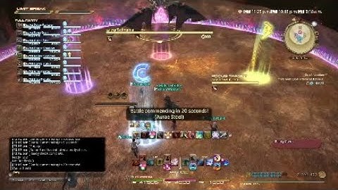Unending Coil of Bahamut (Ultimate) [Samurai PoV] Twintania + Nael transition