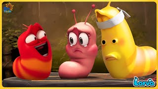 Larva Full  Episode  1 Hour Compilation 🍟 Cartoons - Comedy - Comics 🥟 New Animation Movies 2020
