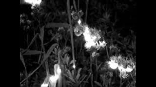 72416257146130251625704147