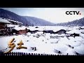 《乡土》 20180205 腊月里来迎新年 雪乡人家 | CCTV农业