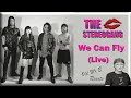 THE STEREOGANG - We Can Fly - ONE-MAN LIVE (Reaction)