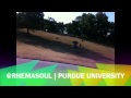 Capture de la vidéo Rhema Soul At Purdue University