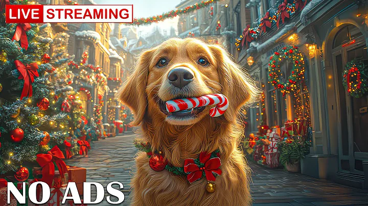 Relaxing Holiday Music for Dogs🐾 🎄12 Hours of Soothing Music for a Peaceful Christmas Eve 🎁