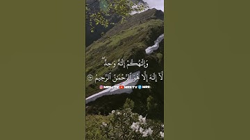 ماهر المعيقلي - سورة البقرة ( برواية حفص عن عاصم ) الأية 163